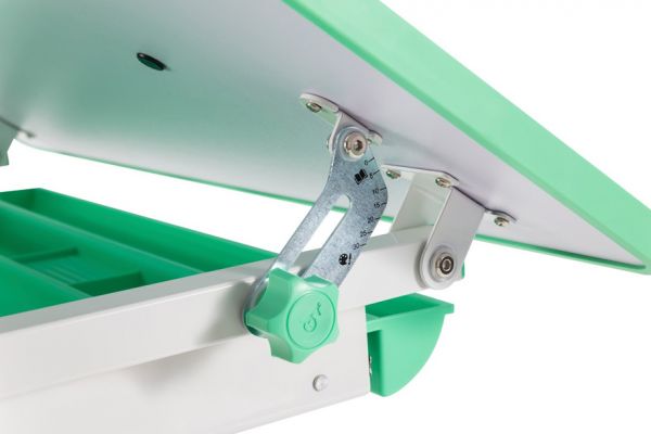 Комплект растущая парта и стул Cubby Disa Green