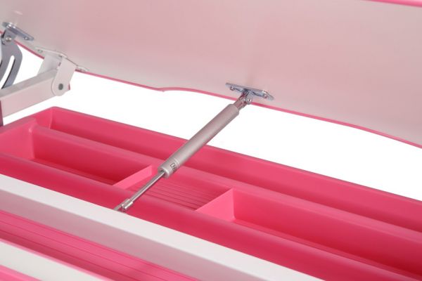 Растущая детская парта и стул Cubby Botero Pink